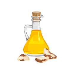 Brazilian nut oil in glass bottle isolated on white. Vector cartoon illustration. 