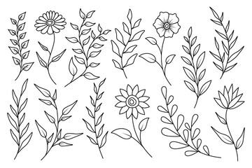 Set of floral element, leaves and flowers collection.