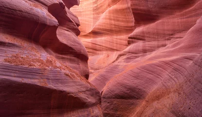 Foto op Plexiglas In the Lower Antelope Canyon, Navajo Reservation, near city Page,Arizona,Usa © larisa_stock