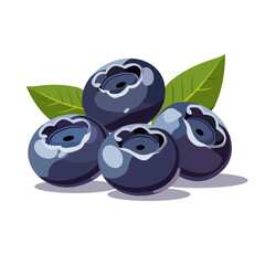 Healthy blue blueberry on white background. Isolated vector in flat style. Summer berries for design