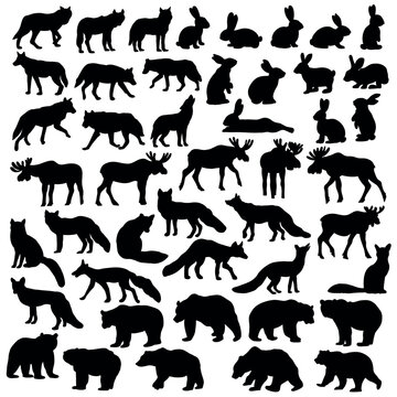 Black Forest Animal Silhouette Set