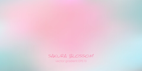 Empty pink background. Gentle gradient in blue and pink tones. Can be used to display or mount your products, graphic or web design, banner, poster, advertisement