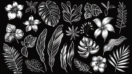 set of plant and flower floral cut doodles hand drawn. Exotic jungle leaves, flowers and plants. Perfect for posters, instagram posts, stickers. Generative Ai