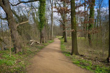Wandern, Weg im  im Schlosspark, Park Lützschena, Leipzig, Sachsen, Deutschland	