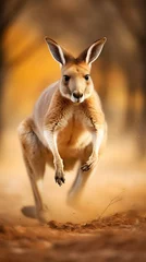 Fototapeten Fast running Kangaroo, kangaroo, running kangaroo with motion blurred background © MrJeans