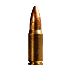 A bullet is sitting on a white background