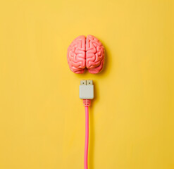 brain with plug and socket.Minimal creative technological and evolution concept.Flat lay