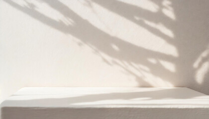Minimalistic Empty White Interior with Sunny Shadows. Bright Warm Tones, Advertising Mock Up..