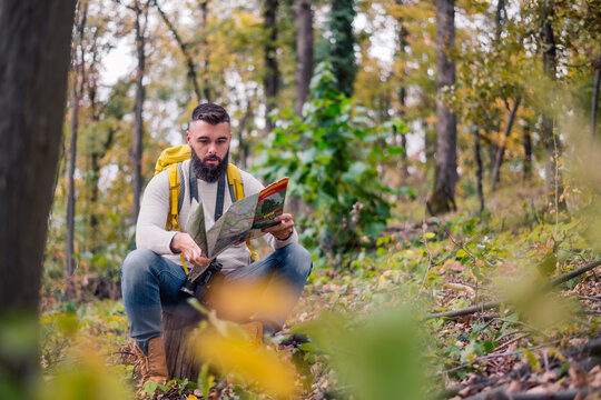 During his woodland hike, a hipster enjoys a rest, sitting on a tree stump while consulting a paper map to plan his route."