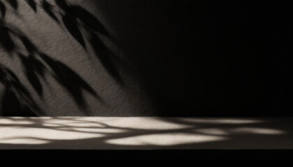 Abstract studio black background for product presentation. Empty room with shadows of window and flowers and palm leaves . 3d room with copy space. Summer concert. backdrop. beauty product placement.