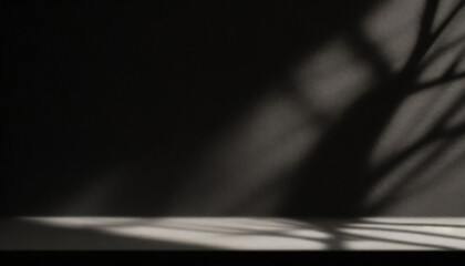 Abstract studio black background for product presentation. Empty room with shadows of window and flowers and palm leaves . 3d room with copy space. Summer concert. backdrop. beauty product placement.