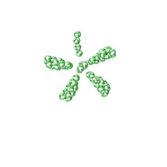 Symbol made of green volleyballs