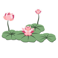 Illustration of a Lotus Flower Plant