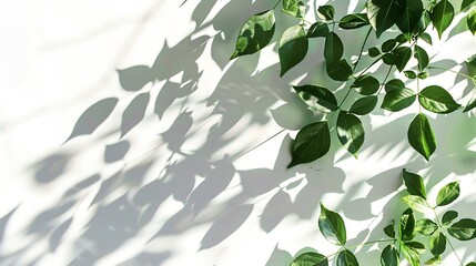 Generative AI : Leaves natural shadow overlay on white texture background