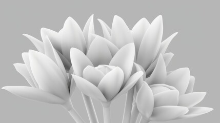  a bunch of white flowers in a vase on a gray background with a white border around the top of the image.