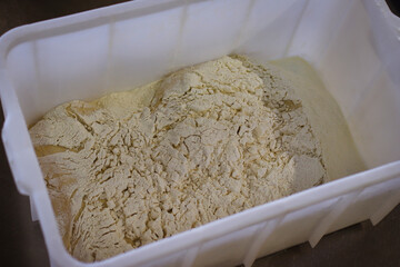 Impasto pane toscano, lievitazione