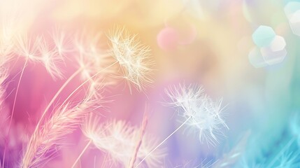 Generative AI : Soft abstract gradient background, abstract dandelion
