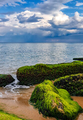 scenic seascape with rocks with moss on the beach.