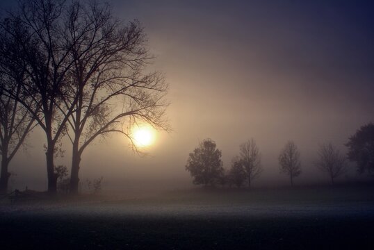 Foggy autumn morning and sunrise and the shadows of trees