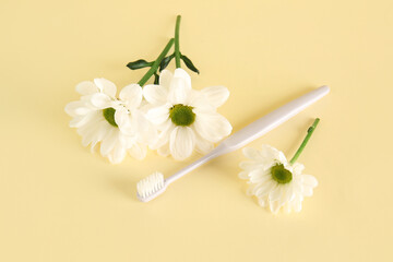 Toothbrush and beautiful chamomile flowers on color background