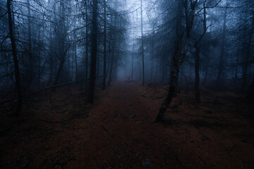 Gloomy and totally moody view in the foggy rocks with the best dark and mystic atmosphere in the...