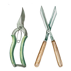 Garden scissors isolated on white. watercolor gardenng tools painiting.