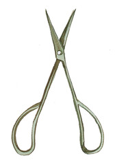 Garden scissors isolated on white. watercolor gardenng tools painiting.