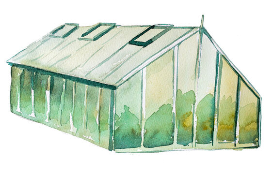 Greenhouse clipart isolated on white,Watercolor glasshouse painting. Gardening concept illustration.