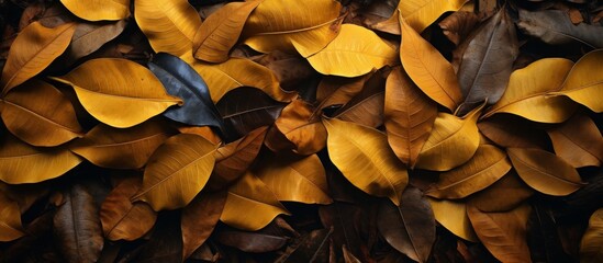 A mixture of brown and yellow leaves covers the ground, serving as natural food for the soil. These leaves can also be used as ingredients in compost recipes for plant growth - obrazy, fototapety, plakaty