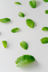 Sprigs of vibrant green mint scattered across a clean, white background, offering a sense of...