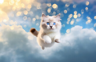 Pequeño gato mimoso de ojos azules saltando sobre las nubes con un cielo azul y luces desenfocadas detrás. Dibujo hiperrealista con bokeh