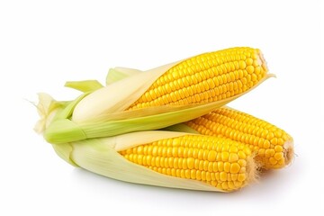 Fresh yellow corn isolated on white background
