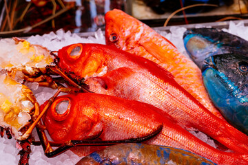 沖縄の魚市場