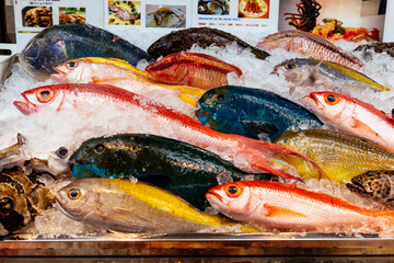 沖縄の魚市場