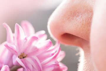 close-up Female nose lights up with delight savors sweet scent hyacinth, capturing joy of springtime and beauty of nature, while also raising awareness of seasonal allergies, Sensory Experience - obrazy, fototapety, plakaty