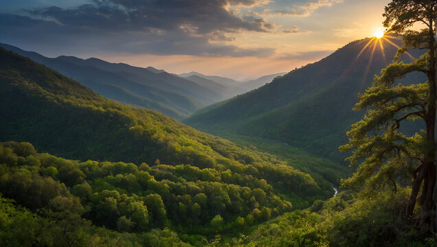 Stunning Nature Photography: Capturing the Beauty of Sunrise, Sunset, Mountains, Spring, and Summer in one place