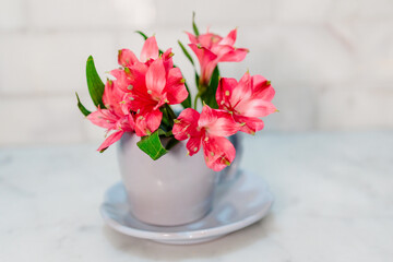 Pink spring flowers in a blue teacup.