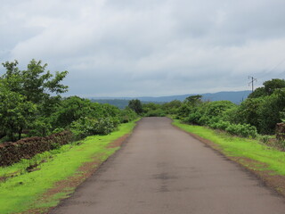 road in the forest