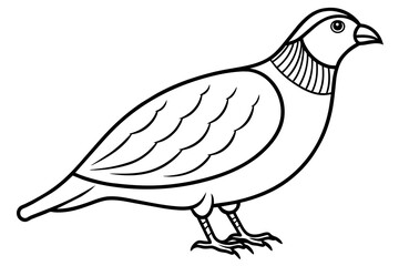 Fototapeta na wymiar quail silhouette vector illustration