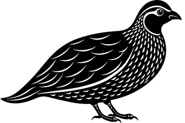 quail silhouette vector illustration