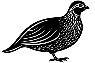 quail silhouette vector illustration