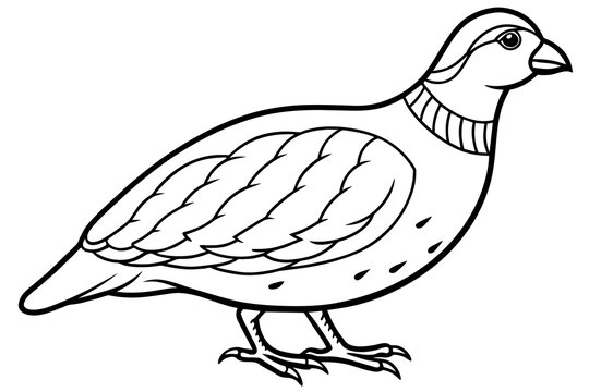recommend clip art: quail silhouette vector illustration