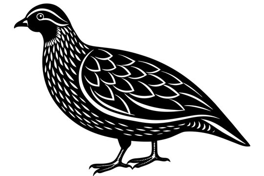 recommend clip art: quail silhouette vector illustration