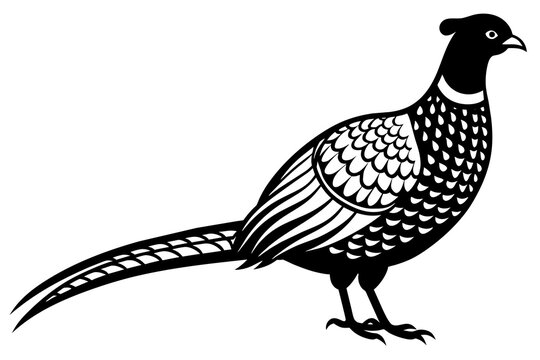 recommend clip art: pheasant silhouette vector illustration