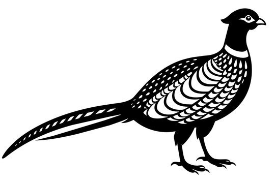 recommend clip art: pheasant silhouette vector illustration