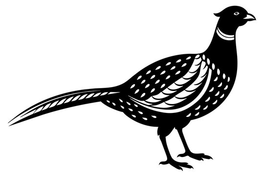 recommend clip art: pheasant silhouette vector illustration