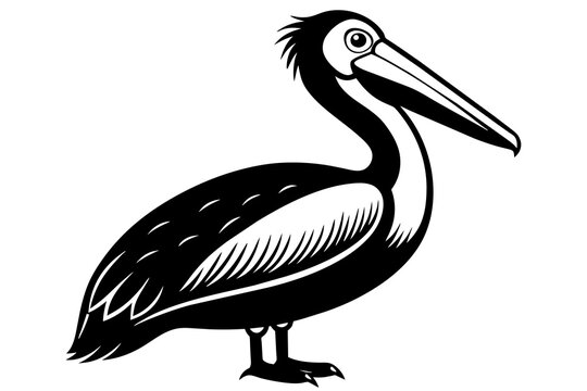 recommend clip art: pelican silhouette vector illustration