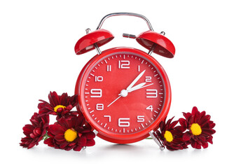 Alarm clock and chrysanthemum flowers on white background