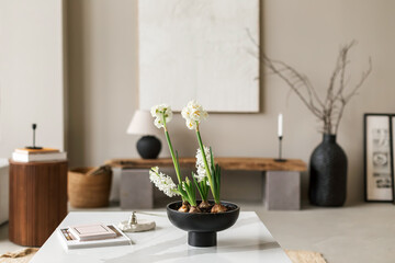 close up details flowers hyacinth in Interior design of aesthetic and minimalist living room , wooden coffee table, pedant lamp, beautiful leafs in vase, decoration and accessories. Home cozy decor.