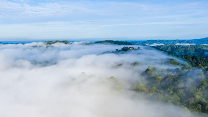 Aerial view of the Borneo rainforest.